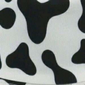 Meet your Posher, Leighton